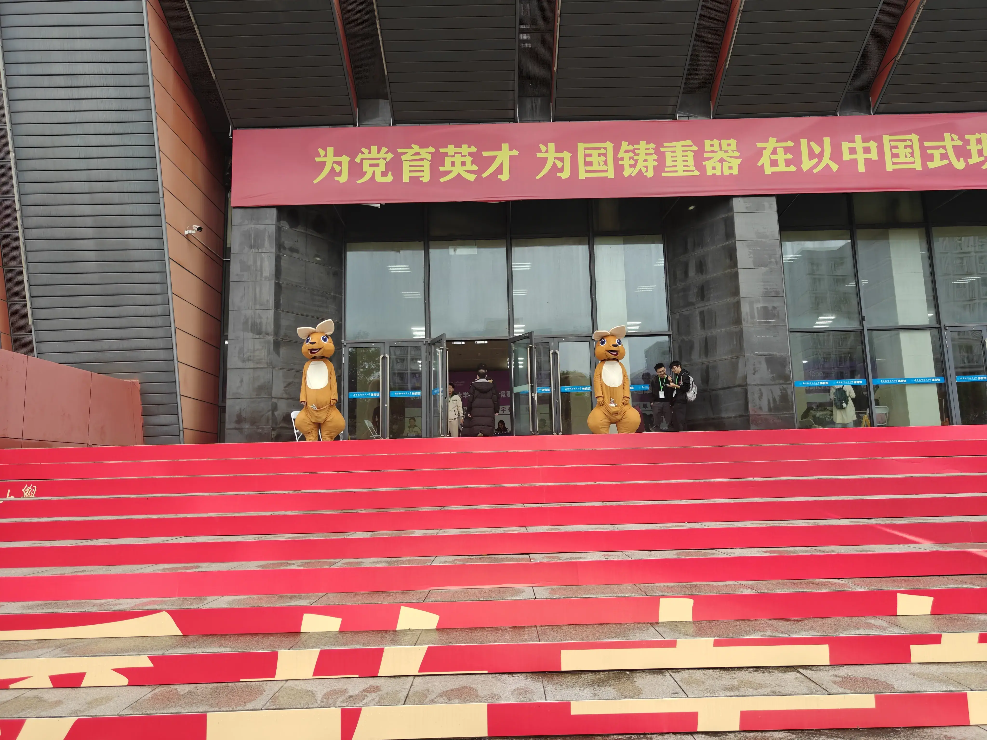 南京特色——袋鼠