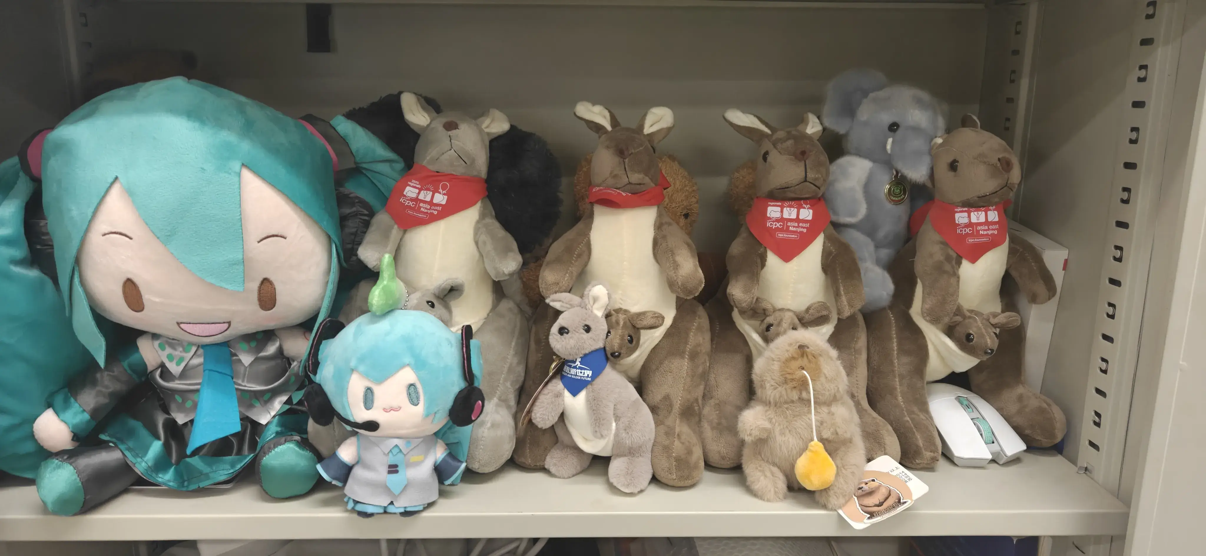 各个赛站的伴手礼