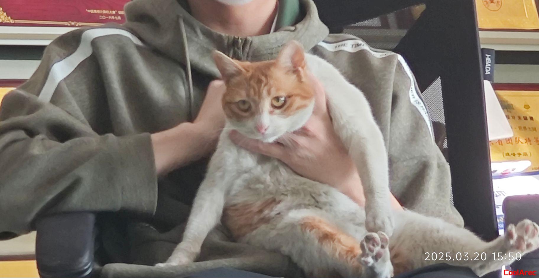 偷偷溜进来的院长被吴老师一只手擒拿