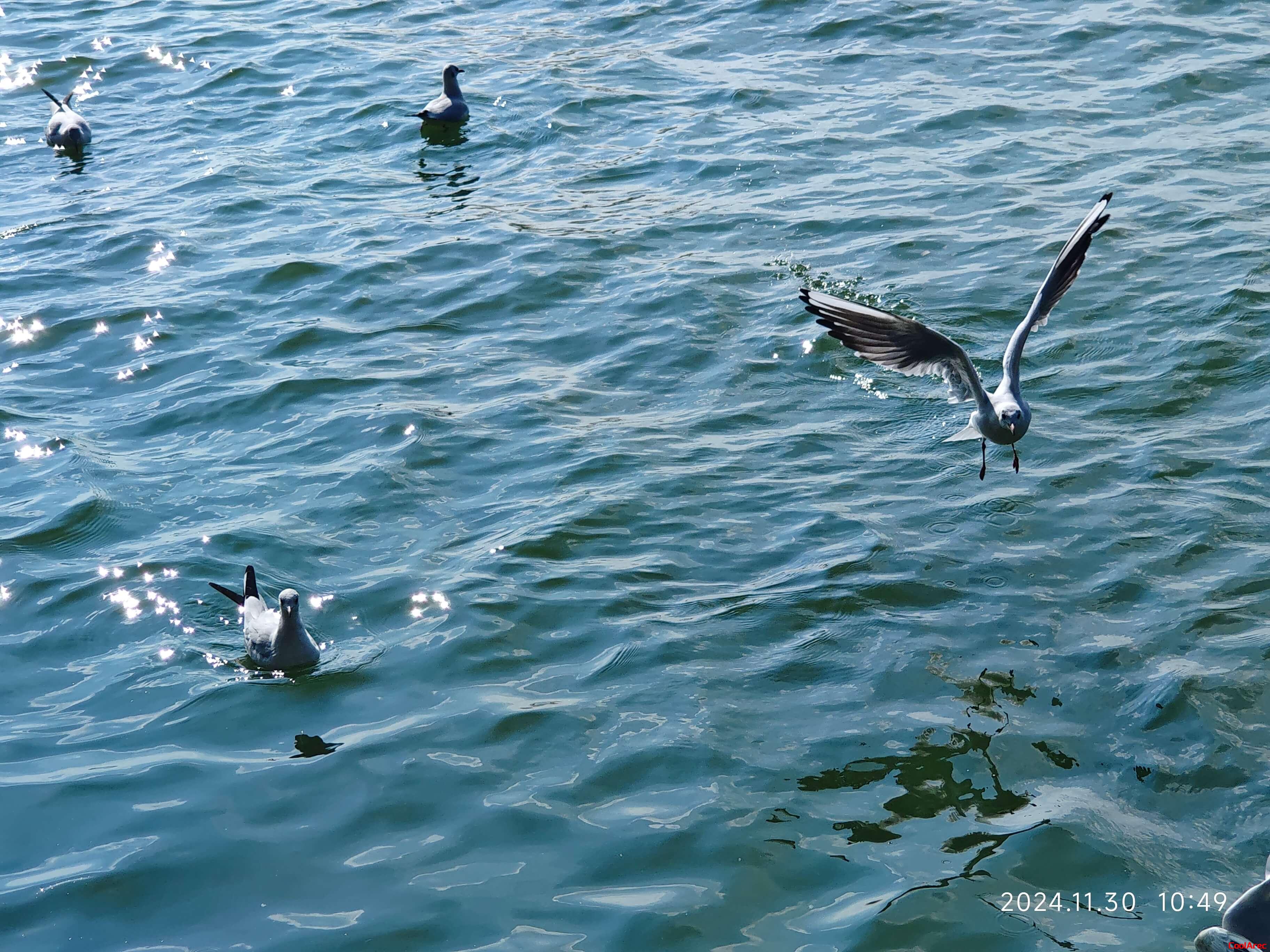 人生的意义是什么？